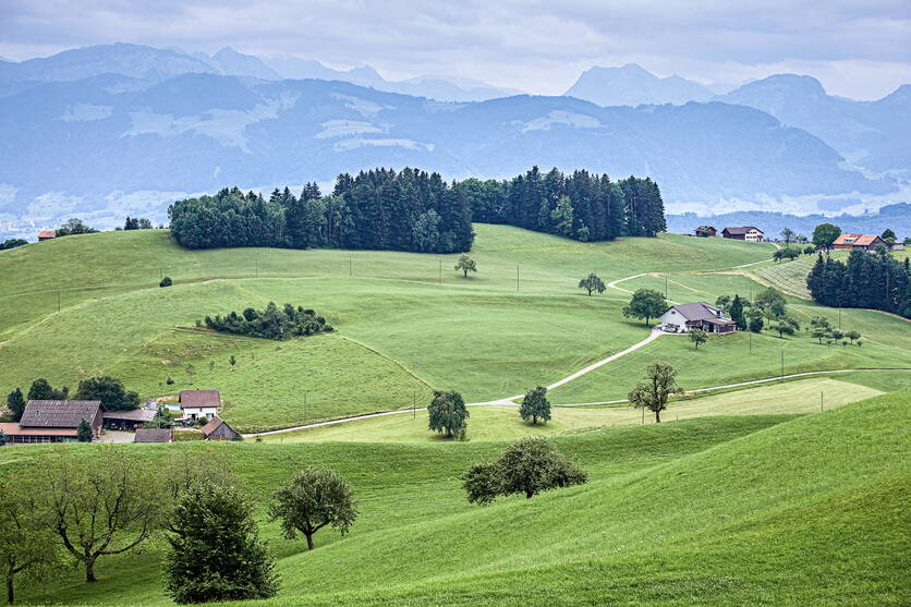 _r1t2059_hof_landschaft_wiese_fullres.jpg